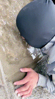 【宸宸】双S户外遛狗-清理脏泥靴底喝地上脏水【双视角版】bf26780_2封面图