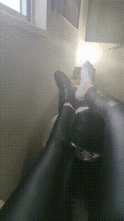 【聆彤S】沐足店伺候-舔闻脏鞋原味白袜 bf27493