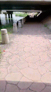 【尤黎】户外-白丝诱惑叼拖鞋吃白丝袜裸足喂酸奶 bf27439