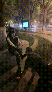 【傲雪】深夜户外遛狗犬化训练 bf27150