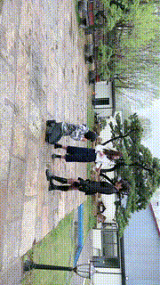 【宸宸】双S户外暴力耳光踢踹贱狗【续集双视角版】 bf26768_1封面图