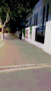 【语阳】惩罚迟到的狗-遛狗骑马爬行转胯抽狗 bf26472