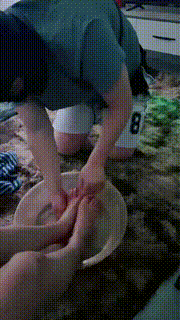 【涵姐】圈养奴日常实录【完整版】 bf27423_2