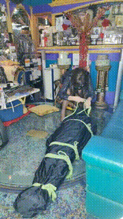 【尼基塔】双S-捆绑囚禁木乃伊狗 bf28014