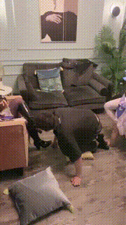 【楼遥】双S-cos女神-骑马骑脖子-闻丝袜脚【双视角版】bf28118_1