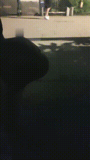 【欣欣】深夜户外调-狗链遛狗爬行骑脖子吃袜子转胯【完整版】 bf28455_1