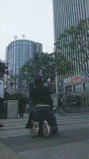 【全能来福M】给路人美女跪拜会是什么反应 bf28008