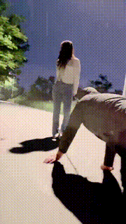 【伊晨】户外遛狗-骑马爬行舔脏鞋底转胯 bf28235