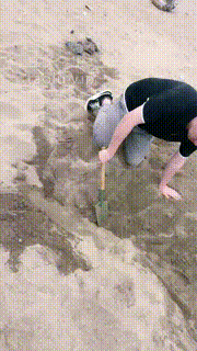 【宸宸】海滩沙子活埋窒息强制圣水 bf28820