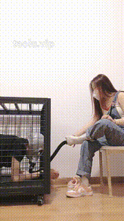 【嫦曦S】圈养第二天强制闻鞋 bf28550封面图