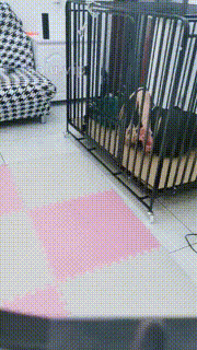 【佛爷】捆绑堵嘴囚禁狗笼鞭打胯下辱踩踏 bf28718封面图