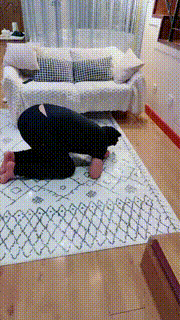 【小笑魔】酒店吊绑耳光玩狗命 bf27987