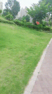 【美容院S】户外公园遛-狗爬行舔白鞋叼鞋叼丝袜鞭子抽 bf28729封面图