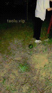 【小笑魔】户外抓住偷瓜狗虐打-小白鞋踩捆绑骑马 bf28560