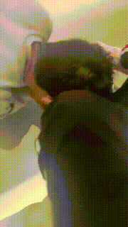 【可爱S】双S学生主-原味白袜闻舔喝圣水爬行遛狗 bf28783封面图