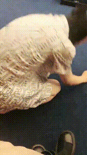 【宝儿S】电影院偷窥狂抓住被虐成狗【双视角完整版】 bf29828_3