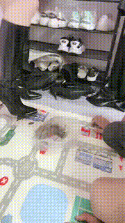 【林夕】诱导邻居做狗-舔泥巴脏鞋-插嘴舔脚趾【完整版】 bf29919_2