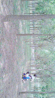 【伯爵S】户外骑马遛狗爬行 bf28816