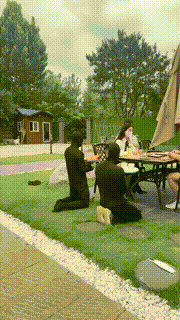 【沅芷大人】奴的正确使用方式-桌旁伺候打牌-电击出火花 JS230709029封面图