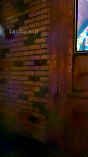 【凌儿女神】KTV-全体重踩狗脸-鞭打当座椅 bf29480封面图