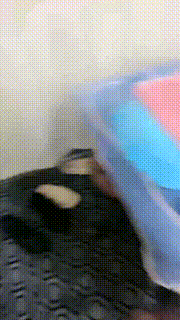 【木子大大】骑马-黑丝高跟踩踏【完整版】 bf30602_2封面图