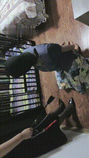 【慕田S】犬化母畜全过程【完整版】 bf30839_1封面图