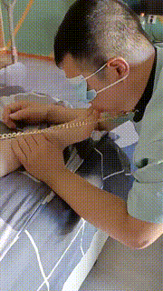 【学生双主】双S-遛狗-嘴洗臭袜子-打手心-骑马【完整版】 bf30670_1封面图