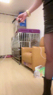 【暴力美学】狗笼圈养-白袜塞嘴枷锁固定鞭打-短靴踩 bf30869封面图