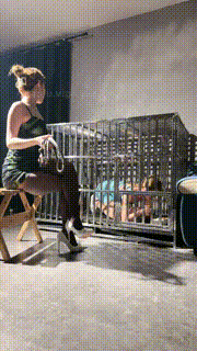 【领主老大】母畜-狗笼圈养-喂食-五花大绑挠痒-道具塞嘴 bf30813封面图