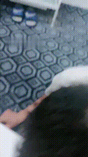 【木子大大】圈养狗奴执行刑虐【完整版】 bf31079_1