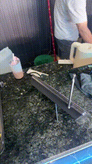 【狗哥】白丝高跟-实战开发台球助教小姐姐 bf30646封面图