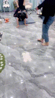 【亿姐】双S-超重度藤条抽狗骑马耳光 bf31332封面图