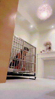 【茹雪】双主VS母畜-狗笼圈养-舔圣水-人体烟灰缸【双视角版】 bf30815_2封面图