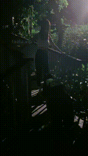 【艾莉】夜跑女神户外虐-骑马遛狗闻舔椰子鞋白棉袜 bf31291