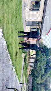 【沅芷大人】户外院子-犬化双奴奴下奴 bf32682封面图