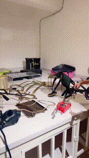 【宇婉莹】圈养试用第一天 bf32503封面图