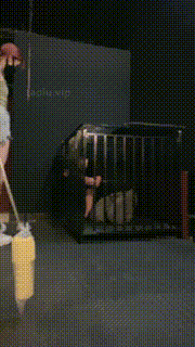 【冰诺】运动女神-狗笼囚禁暴力虐打贱狗骑马 bf32133封面图