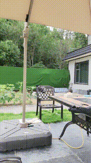 【沅芷大人】群调圈养-户外双奴公开舔脏鞋【双视角版】 JS23092302_2封面图