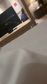 【做你后妈】偷看闺蜜玩狗奴【上】 JS23091805封面图