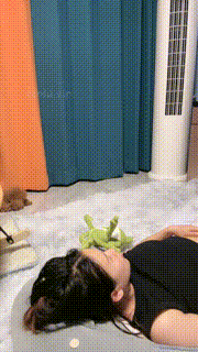 【伊晨】开发抖M闺蜜下跪做狗【下】 bf32688