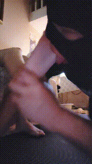 【芹泽蕾拉】JK萝莉主tj老肥狗 bf32678封面图