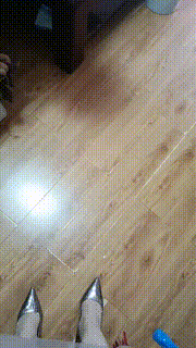 【平凡】开发学生宠物狗【上】 JS23081801