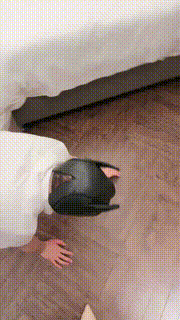 【莫瑶大大】双S胯下辱-踩踏坐垫坐脸喂食【双视角完整版】bf32233_1封面图