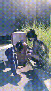 【幽魅】深夜户外遛狗骑马爬行公厕处刑【完整版】 bf33441_1封面图