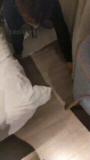 【小琪】素人学生主首调-运动鞋棉袜高跟裸足舔【完整版】 bf33473_2封面图