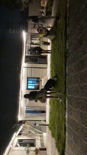 【沅芷大人】4S白富美圈养调-轮流鞭打【三视角版】JS23090950_3封面图