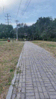 【魔鬼天使】户外犬化遛狗爬行【完整版】 bf33204_2封面图