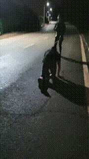 【朱迪】双S户外遛狗散步【双视角版】 bf33283_1封面图