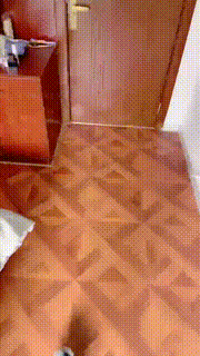 【沅芷大人】圈养狗晨起伺候 JS23092104封面图