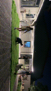 【沅芷大人】4S白富美圈养调-轮流鞭打【三视角版】JS23090950_1封面图